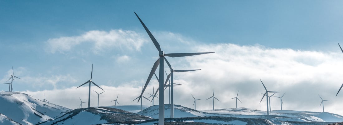 Strom aus erneuerbaren Energien: ein Feld von Windkrafträdern